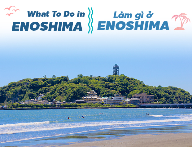 Làm gì ở Enoshima?