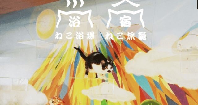 OSAKA - Khách sạn đặc biệt cho phép khách xem mèo qua cửa kính và có thể xin nhận nuôi chúng