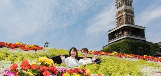 Công viên socola thú vị bậc nhất ở Hokkaido, nơi khiến du khách chìm đắm trong sự ngọt ngào bất tận