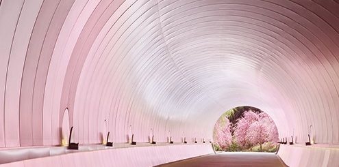 KANSAI - Top 5 địa điểm ngắm hoa anh đào đẹp nhất năm 2021