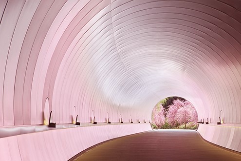 KANSAI - Top 5 địa điểm ngắm hoa anh đào đẹp nhất năm 2021