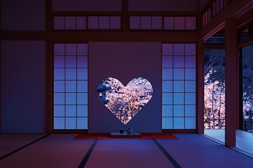 KYOTO - 5 địa điểm ngắm hoa anh đào đẹp nhất năm 2020