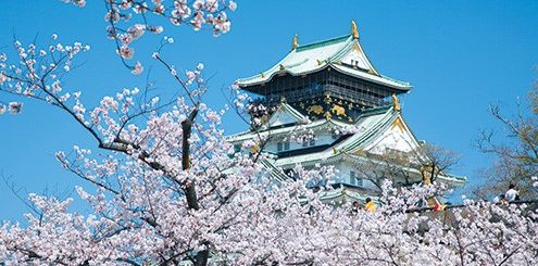 OSAKA - Top 5 địa điểm ngắm hoa anh đào đẹp nhất năm 2020