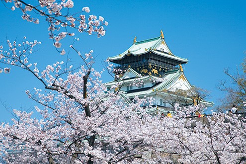 OSAKA - Top 5 địa điểm ngắm hoa anh đào đẹp nhất năm 2020
