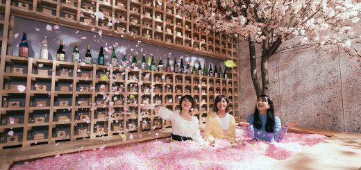 TOKYO - Thưởng thức rượu ngon, ngắm hoa anh đào đẹp bên trong quán bar ở Shibuya