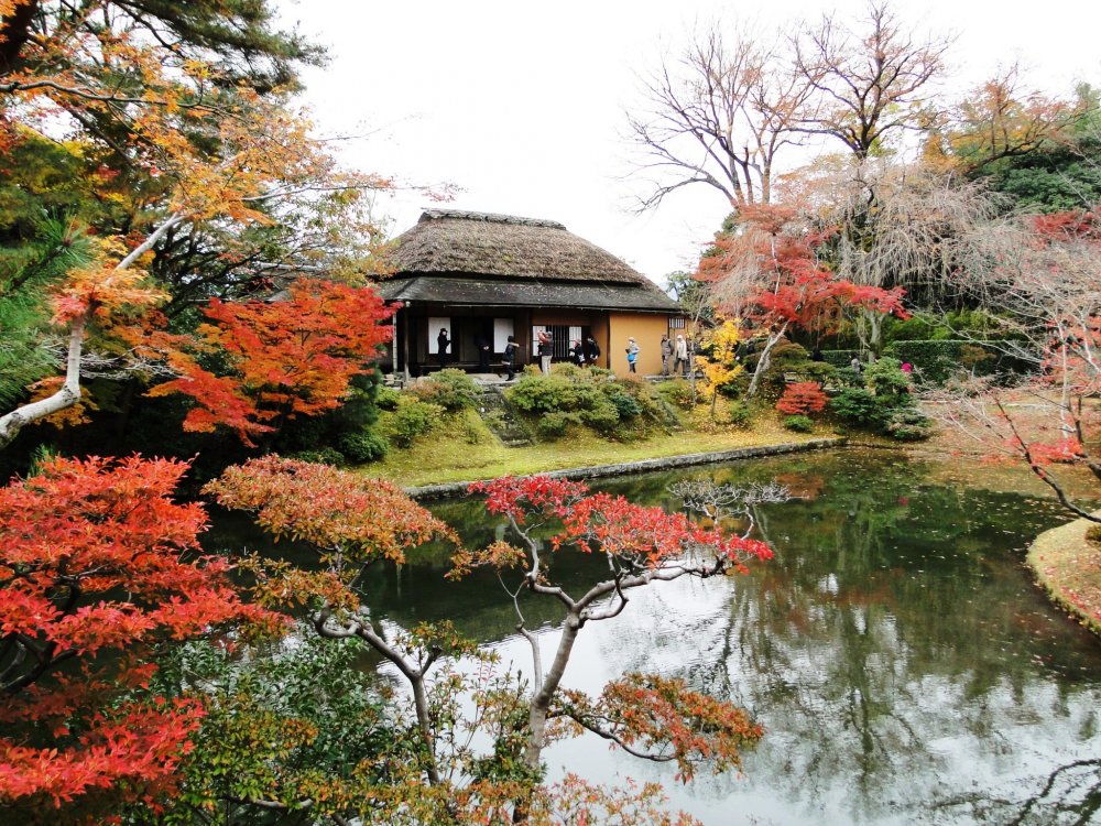 KYOTO - Cung điện Hoàng gia Katsura, giá trị tinh hoa kiến trúc Nhật Bản -  WOM JAPAN