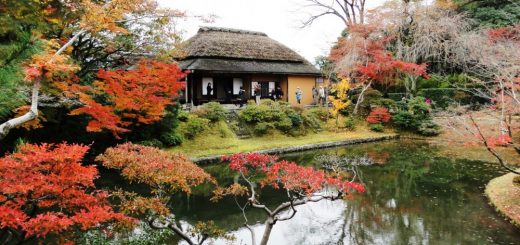 KYOTO - Cung điện Hoàng gia Katsura, giá trị tinh hoa kiến trúc Nhật Bản