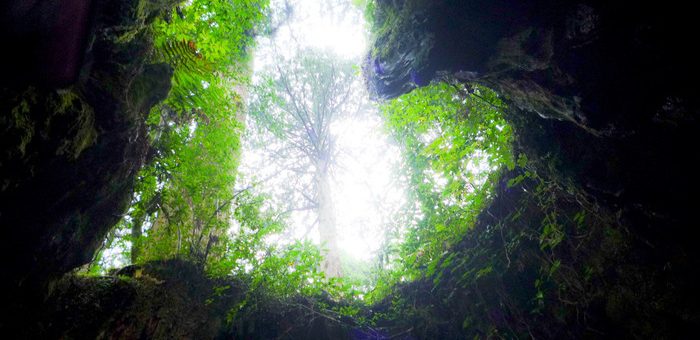 Hang động hình trái tim ẩn mình giữa núi rừng ở hòn đảo Yakushima