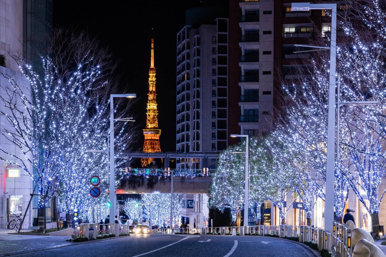 Tokyo - Tổng hợp địa điểm ánh sáng nghệ thuật vừa đẹp lại miễn phí không  nên bỏ qua vào mùa đông 2020 - WOM JAPAN