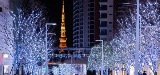 Tokyo - Tổng hợp địa điểm ánh sáng nghệ thuật vừa đẹp lại miễn phí không nên bỏ qua vào mùa đông 2020