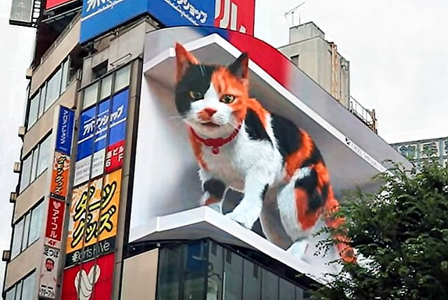Mèo 3D Tokyo sẽ thổi bay trí tưởng tượng của bạn! Xem hình ảnh đáng yêu và sinh động này để trải nghiệm một lần trong đời. Những con mèo làm bằng công nghệ tiên tiến sẽ đưa bạn đến thế giới khác.