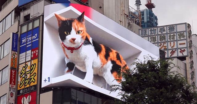 Lần đầu xuất hiện tại Tokyo, chú mèo 3D khiến người đi đường sửng sờ vì quá thật