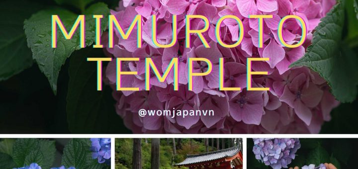Chùa hoa Cẩm Tú Cầu - Mimuroto Temple - Kyoto