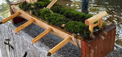 Kỳ lạ đền thờ ở Nhật Bản xây chỗ uống nước cho những chú ong