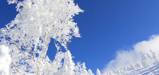 “Quái vật tuyết” đáng mong chờ nhất trong mùa đông, cảnh tượng tinh khiết ai cũng mơ ước được ghé tới