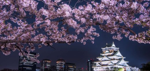 Mãn nhãn với khung cảnh hoa anh đào nở Osaka, mong một lần được đến 10 địa điểm này trong đời
