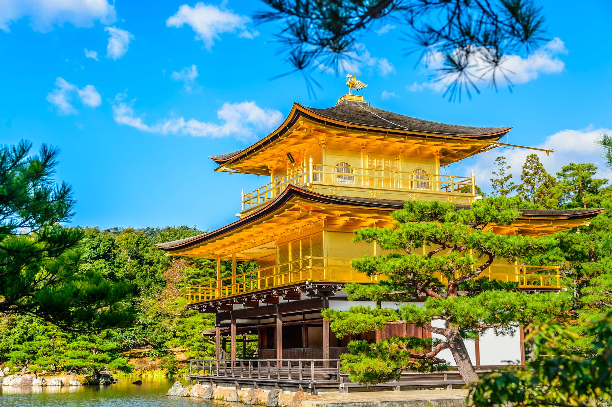 Ngôi chùa dát vàng nổi tiếng bậc nhất cố đô Kyoto: Cảnh đẹp suốt 4 mùa - WOM JAPAN