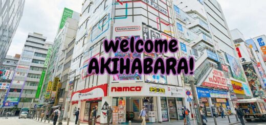 13 điều bạn không thể bỏ lỡ khi ghé tới Akihabara - thủ phủ đồ điện tử ở Nhật
