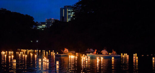 Hàng nghìn chiếc đèn lồng sẽ được thả nổi trên hào Chidorigafuchi tại lễ hội này