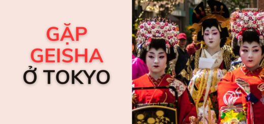 Đến nơi nào để gặp Geisha ở Tokyo?