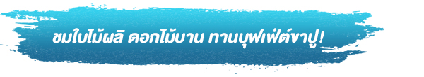 ชมใบไม้ผลิ ดอกไม้บาน ทานบุฟเฟ่ต์ขาปู!