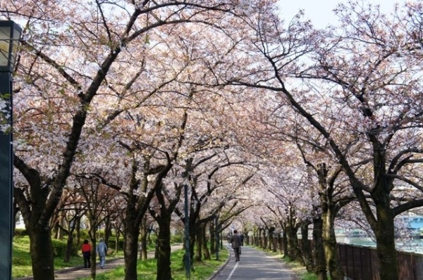 Kema Sakuranomiya Park