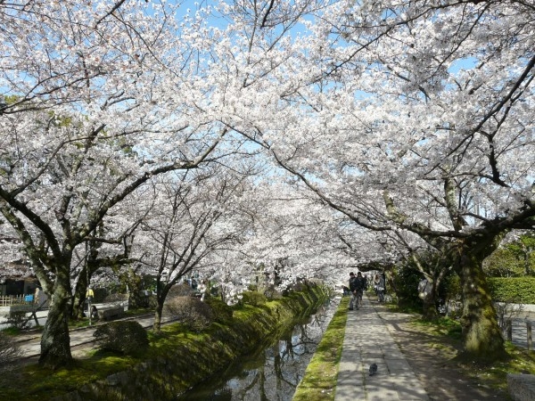 Philosopher's Path 2