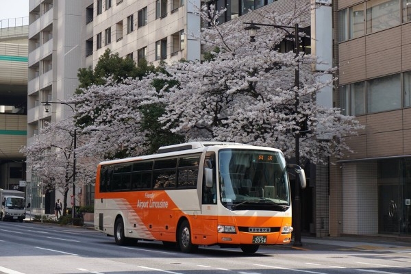 limobus-fb-rz