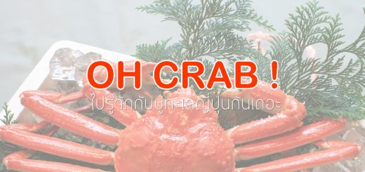 Oh Crab ! เราจะไปกินปู .. ไปทำความรู้จักกับปูจากฝั่งทะเลญี่ปุ่นกันเถอะ
