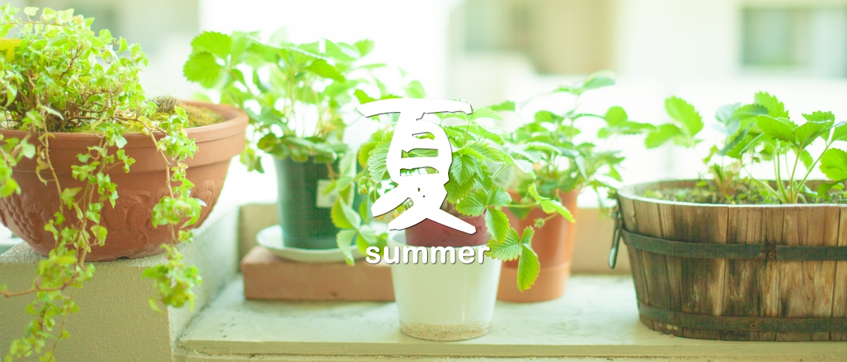 summer