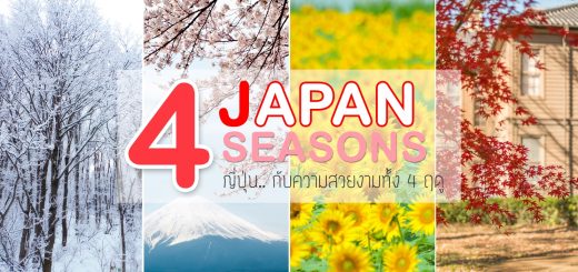 JAPAN 4 Seasons : ญี่ปุ่น .. กับความสวยงามทั้ง 4 ฤดู