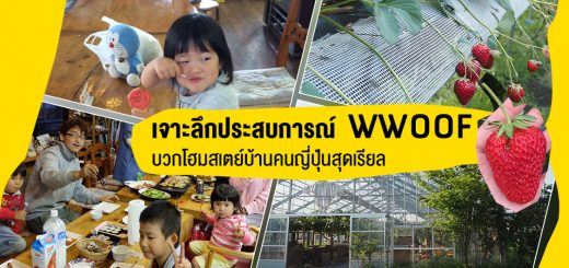 เจาะลึกประสบการณ์ WWOOF บวกโฮมสเตย์บ้านคนญี่ปุ่นสุดเรียล