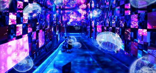 ชมโลกเทพนิยายใต้ท้องทะเล ที่ Sumida Aquarium กับอีเว้นท์แสนงามในธีม Fairy Tale in Aquarium ประจำฤดูใบไม้ร่วง