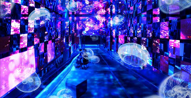ชมโลกเทพนิยายใต้ท้องทะเล ที่ Sumida Aquarium กับอีเว้นท์แสนงามในธีม Fairy Tale in Aquarium ประจำฤดูใบไม้ร่วง