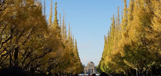 ชมใบแปะก๊วยงาน Jingu Gaien Ginkgo Festival ที่แม้แต่คนญี่ปุ่นเองยังแห่กันมาดู