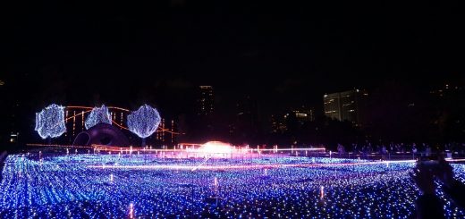 ตื่นตาตื่นใจไปกับ Tokyo Midtown Illumination 2017 งานไฟประดับสุดอลังการที่รปปงหงิ จัดถึงคริสมาสต์ปีนี้เท่านั้น