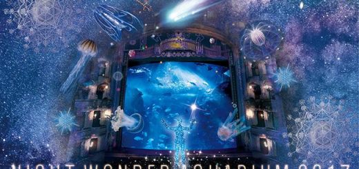 ตื่นตาตื่นใจไปกับ Night Wonder Aquarium 2017 - Aquarium Full of Stars แห่งใหม่ ที่ Enoshima