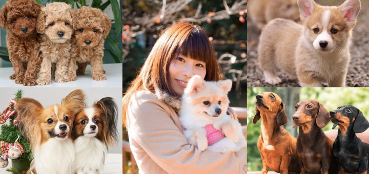 อยากรู้มั้ย! ผลโหวต 10 ชื่อสุนัขยอดนิยมที่คนญี่ปุ่นชอบตั้ง ประจำปี 2017