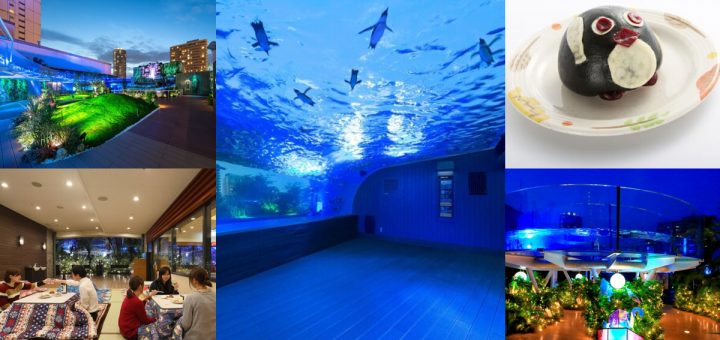 Sunshine Aquarium เปิดโซนใหม่ช่วงกลางคืนเอาใจนักท่องเที่ยวด้วยการจัดโต๊ะโคทัตซึ ชมการจัดไฟตระการตาและโชว์มากมาย