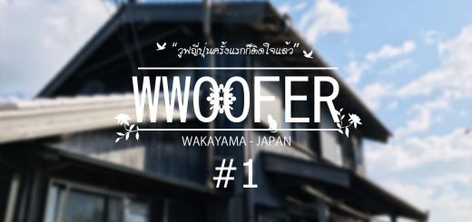 วูฟญี่ปุ่นครั้งแรกก็ติดใจแล้ว EP1: วูฟโฮสต์เรียกว่าบ้าน สภาพแบบนี้ไม่น่าใช่!!