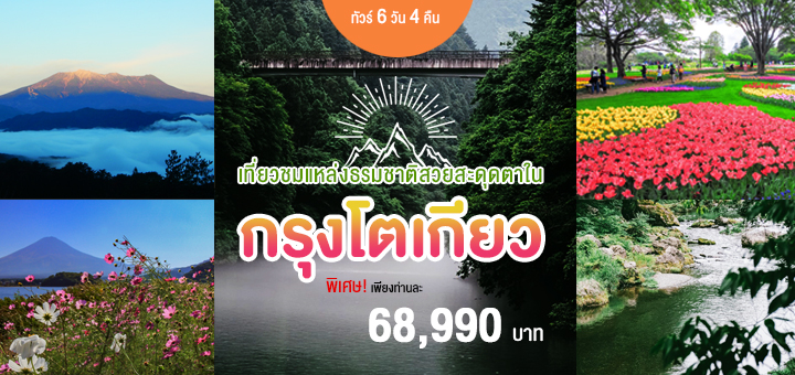 เที่ยวชมแหล่งธรรมชาติสวยสะดุดตาในกรุงโตเกียว ทัวร์ 6วัน 4คืน  by TRAVEX GO