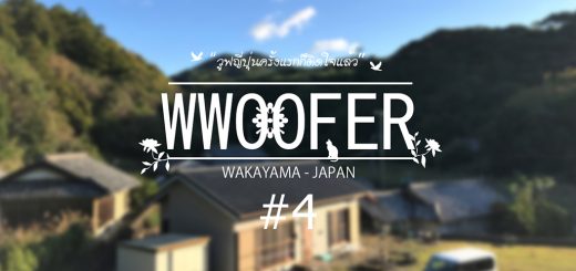 วูฟญี่ปุ่นครั้งแรกก็ติดใจแล้ว EP4 : โอ้ยชีวิต! หลงทางในหมู่บ้าน