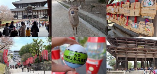 บันทึกความทรงจำ 1 วันลุยเดี่ยว และหลงทางใน NARA เพราะกวางกินแผนที่!!!