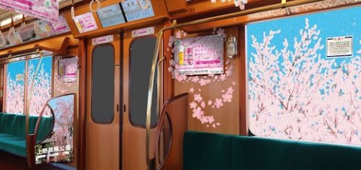 ต้อนรับฤดูใบไม้ผลิด้วยรถไฟธีมซากุระสายกินซ่าที่เปิดให้บริการถึงต้นเดือนเมษายนนี้!