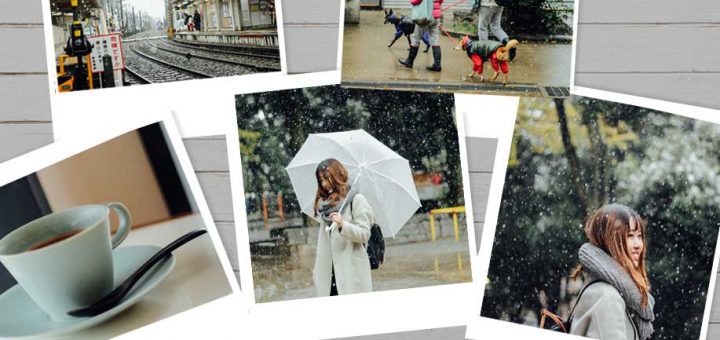When I was in Tokyo #12 : หิมะหลงฤดูในรอบ 54 ปี ในเดือนพฤศจิกายน
