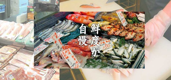 ไม่ต้องไปถึงตลาดทสึคิจิก็ฟินได้ ! 2 แหล่งอาหารทะเลสดใหม่ในโตเกียวที่ต้องไปโดนสักครั้ง