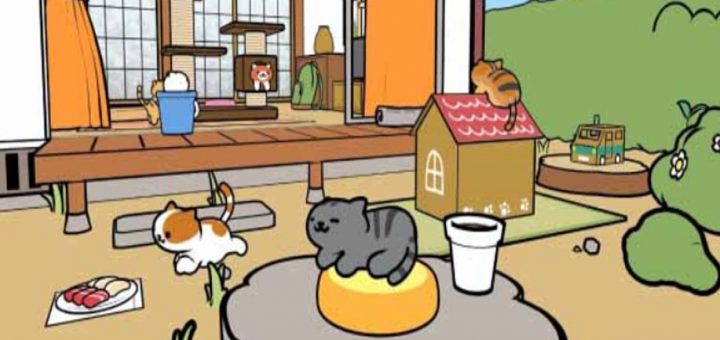 เกมสุดฮิตอย่าง Neko atsume มีให้เล่นแบบ VR สัมผัสกับประสบการณ์สมจริงที่เหมือนได้เลี้ยงน้องเหมียวตัวเป็นๆ