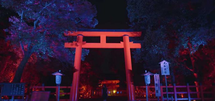 ไปชมความงดงามของเทศกาลแสงไฟในป่า ณ ศาลเจ้าชิโมกาโมะ ที่ได้ครีเอทีฟ TeamLab ระดับเทพมาสร้างสรรค์ผลงานเองกับมือ