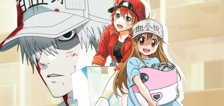 แนะนำอนิเมะทีวี เซลล์ขยันพันธุ์เดือด (はたらく細胞 : Cells at Work!) อะนิเมะความรู้สุดคาวาอี้ จะเป็นยังไงถ้าตัวเอกคือเม็ดเลือด