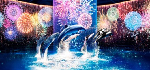 Maxell Aquapark Shinagawa จัดแสดง Hanabi Aquarium BY NAKED